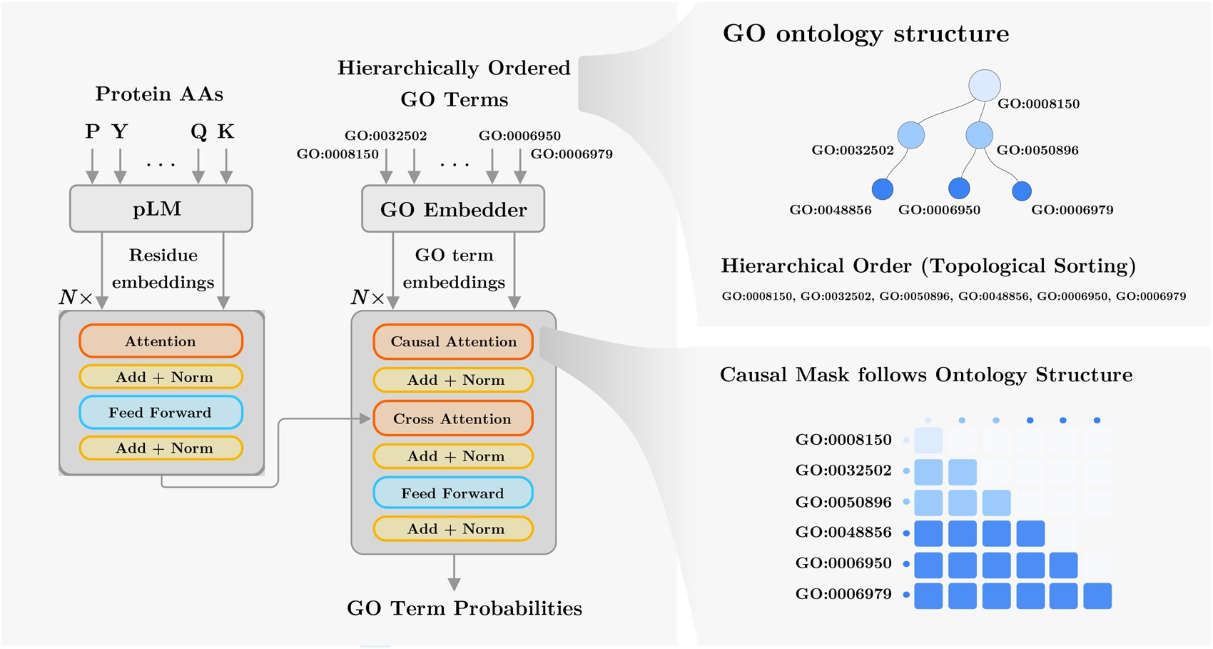 STAR-GO Accepted in Bioinformatics